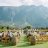 Weddings